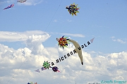 RIMINI 2012 - 301